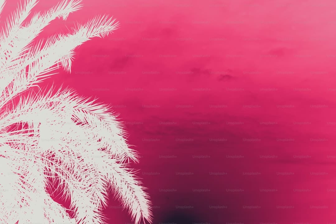 《归队》福庆角色介绍